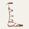 Baquiana Gladiators In Brown